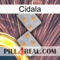 Cidala 25